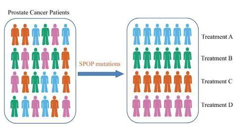 Major Cause of Drug-resistance in Prostate Cancer Patients Identified