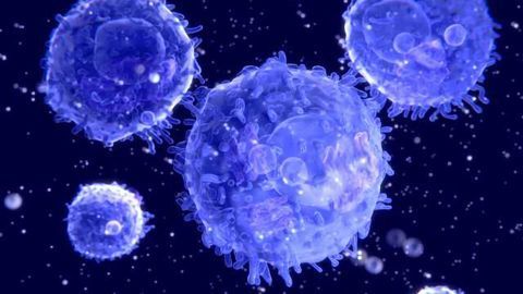 Why Combining Two Checkpoint Inhibitors is More Effective Than Using Them in Isolation