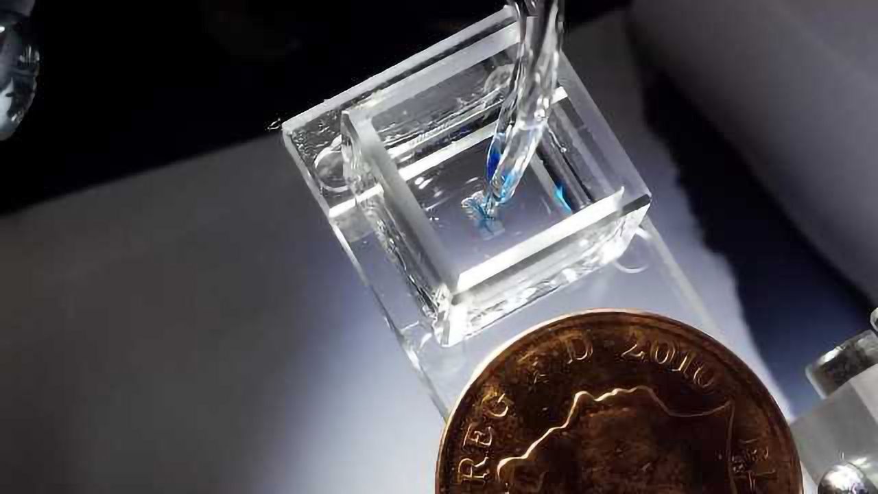 A New Method of 3D Printing Living Tissues