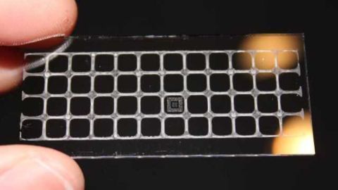Inkjet-Printed Tool Enables Sensitive Diagnostic Testing in Point-of-Care Settings