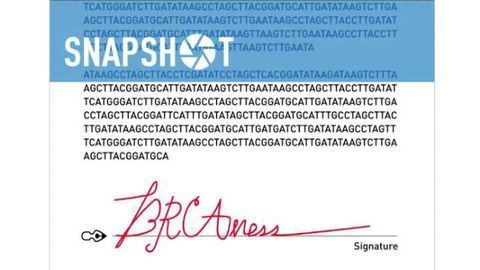 Searching for the “Signature” Causes of BRCAness in Breast Cancer
