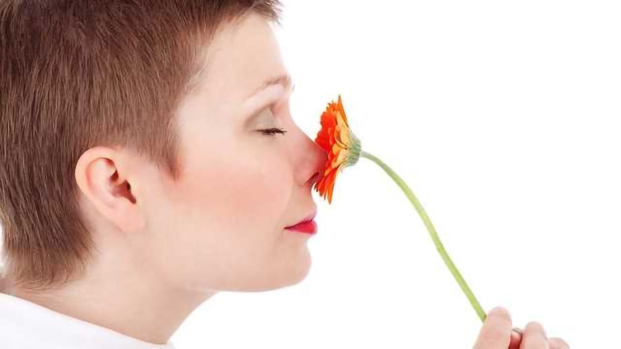 Superior Olfactory Language and Cognition in Odor-Color Synesthesia