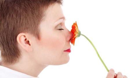 Superior Olfactory Language and Cognition in Odor-Color Synesthesia