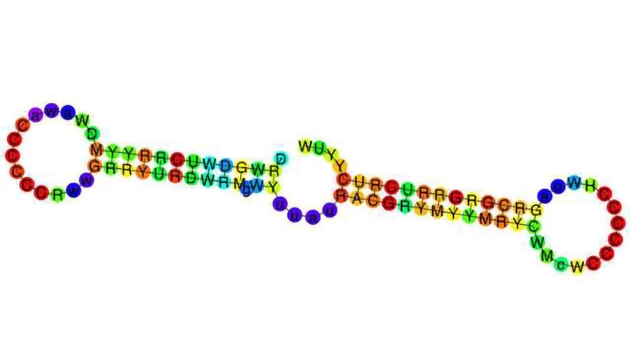 FANTOM5 Releases First Integrated Atlas of microRNA Expression in Human Primary Cells