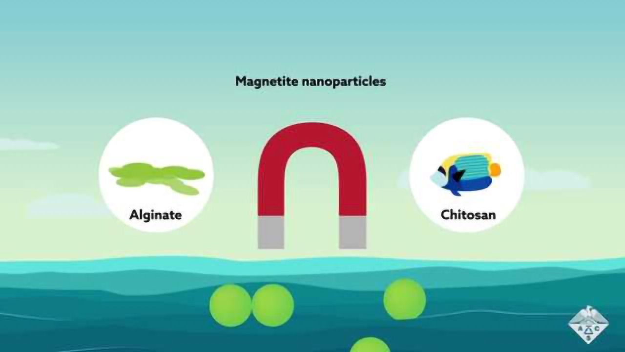 Magnetic Beads Bind Sunblock Chemicals to Remove them from the Ocean