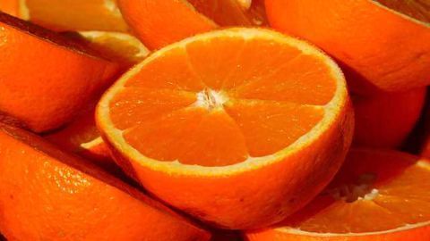 Vitamin C Regulates Stem Cell Function