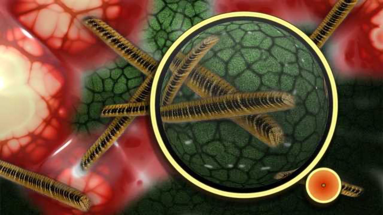 Using Gut Bacteria to Prevent and Treat Disease