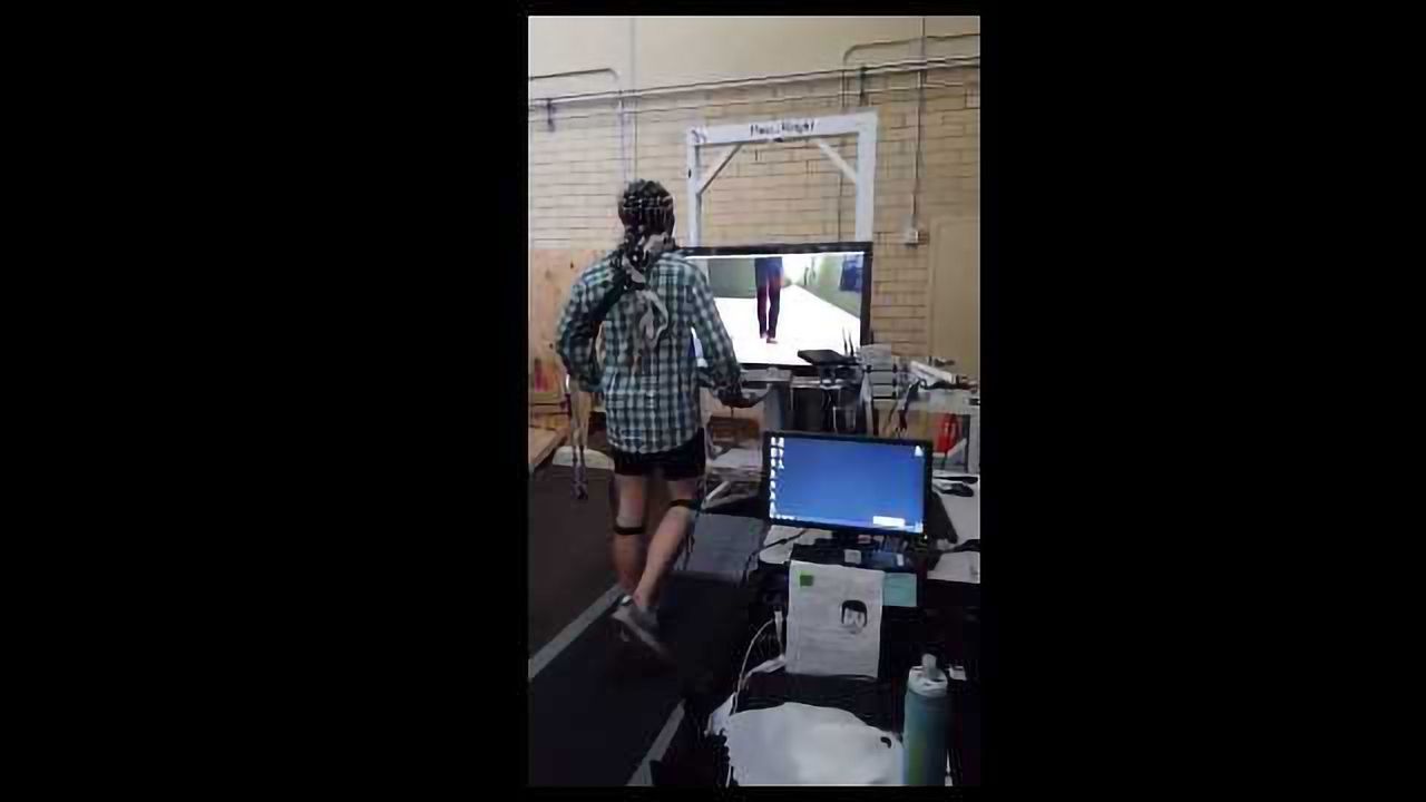 Gait Disabilities Overcome With Brain-Computer Interface and Avatar