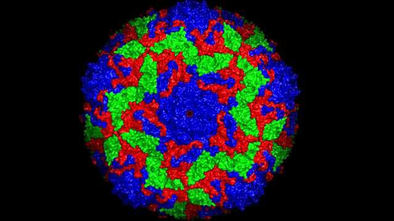 X-Ray Laser Solves Virus Structure at the Atomic Level