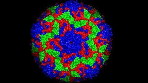 X-Ray Laser Solves Virus Structure at the Atomic Level
