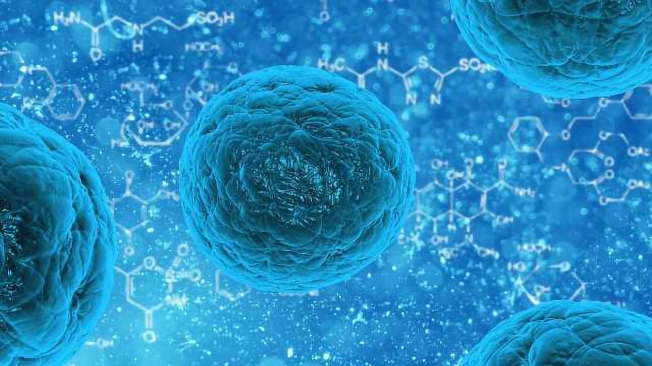 Axol Bioscience Enhances its Future Scientific and Commercial Endeavours