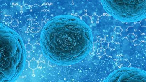 Axol Bioscience Enhances its Future Scientific and Commercial Endeavours