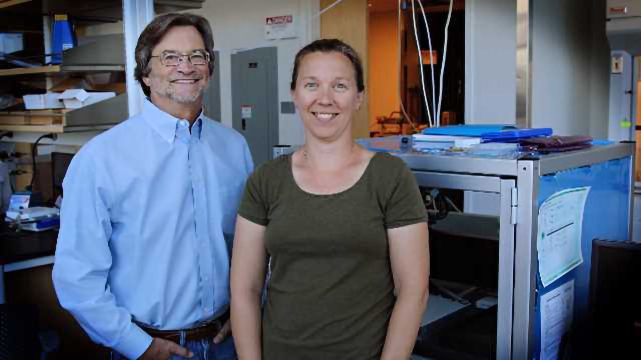 A Rapid Portable Screening Test for Liver Cancer