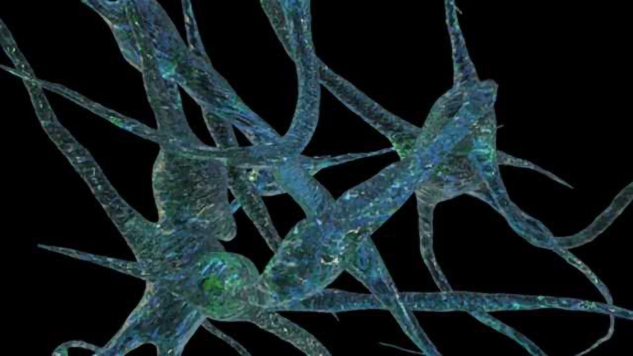 RNA Transcripts in Blood Could Help Detect Alzheimer's Disease Earlier