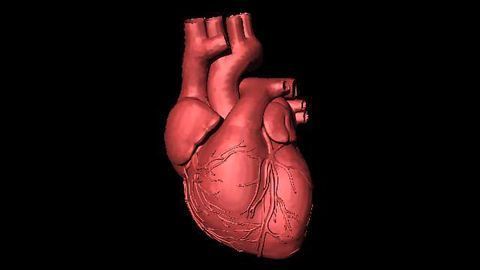 Lasers Used to Detect Risk of Heart Attack and Stroke
