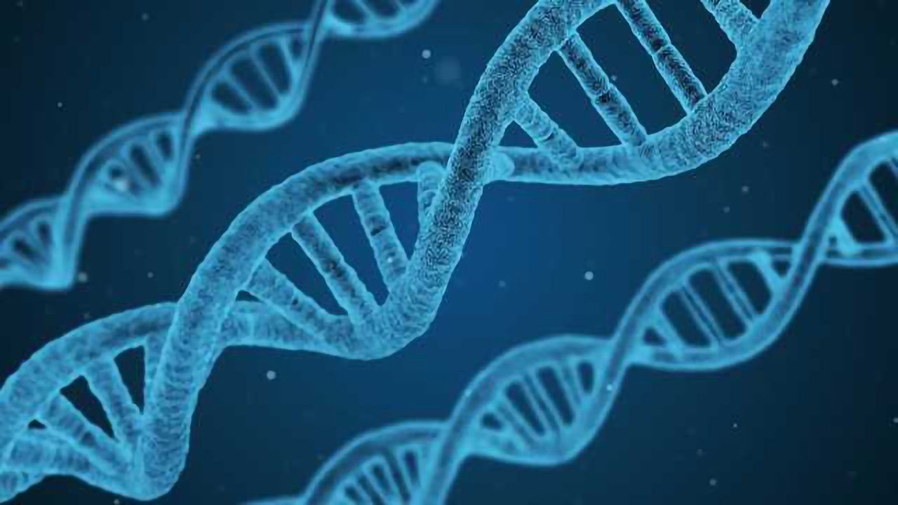 Single-nucleus RNA Sequencing, Droplet by Droplet