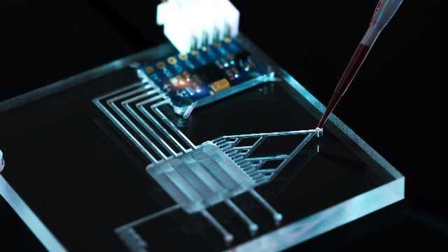 The Growing Role of Microfluidics in Point-of-Care Diagnostics content piece image
