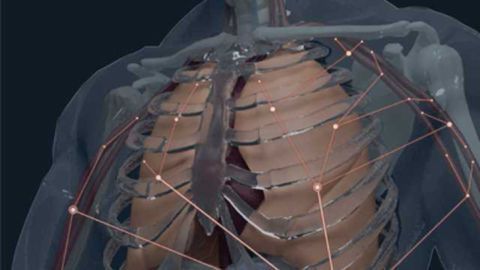 First Atlas of B-cell Clones in the Human Body Charted