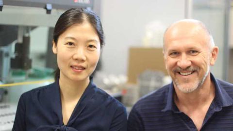 Placenta-on-a-Chip Mimics Malaria in the Womb