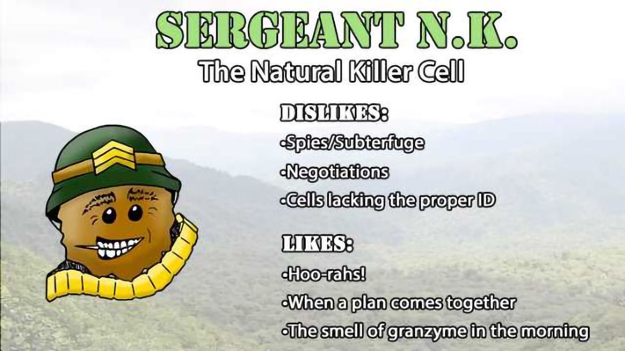 Natural Killer Cells