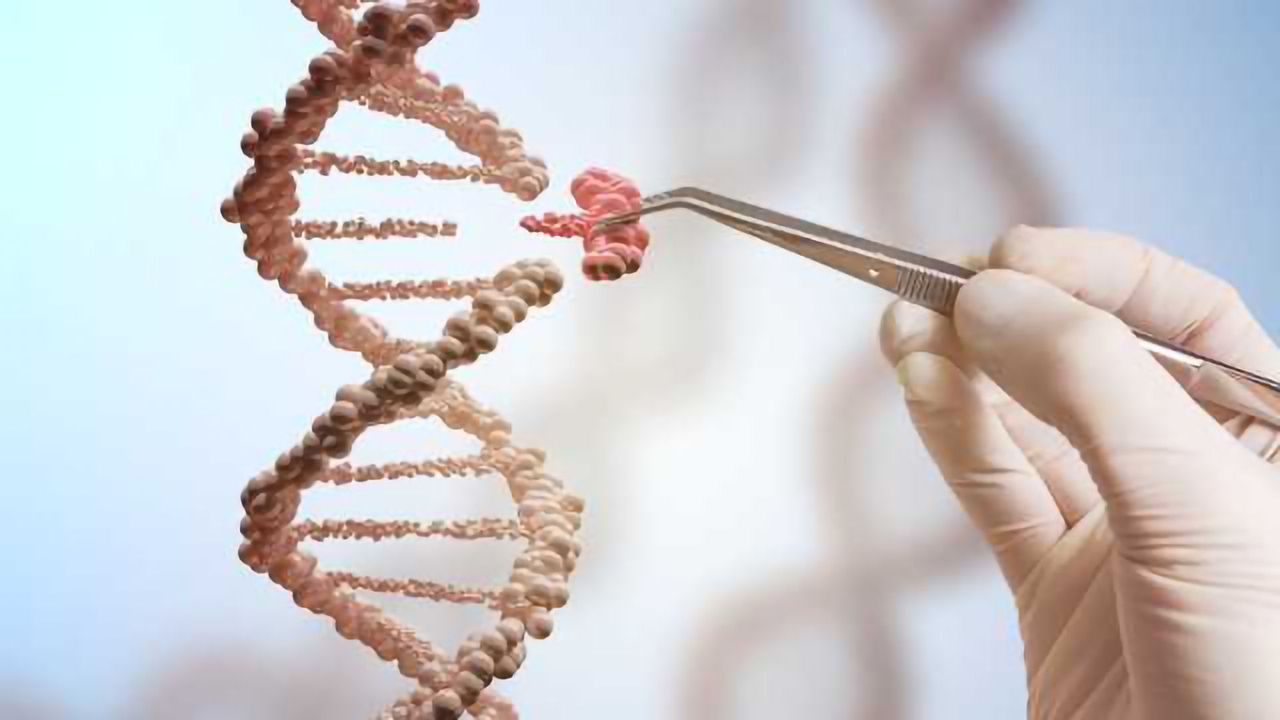 Online Game Challenges Players to Design CRISPR On/Off Switch