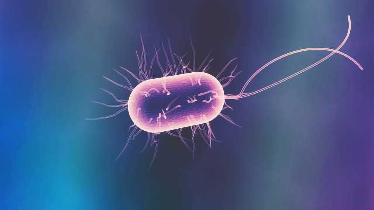 Commensal Bacteria Make GPCR Ligands, Mimic Human Cell Signalling