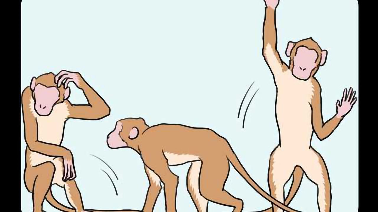 Human Dopaminergic Stem Cells Function in Primate Parkinson's Disease Model