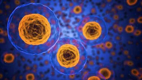 Automated Method Speeds Up Cell Analysis