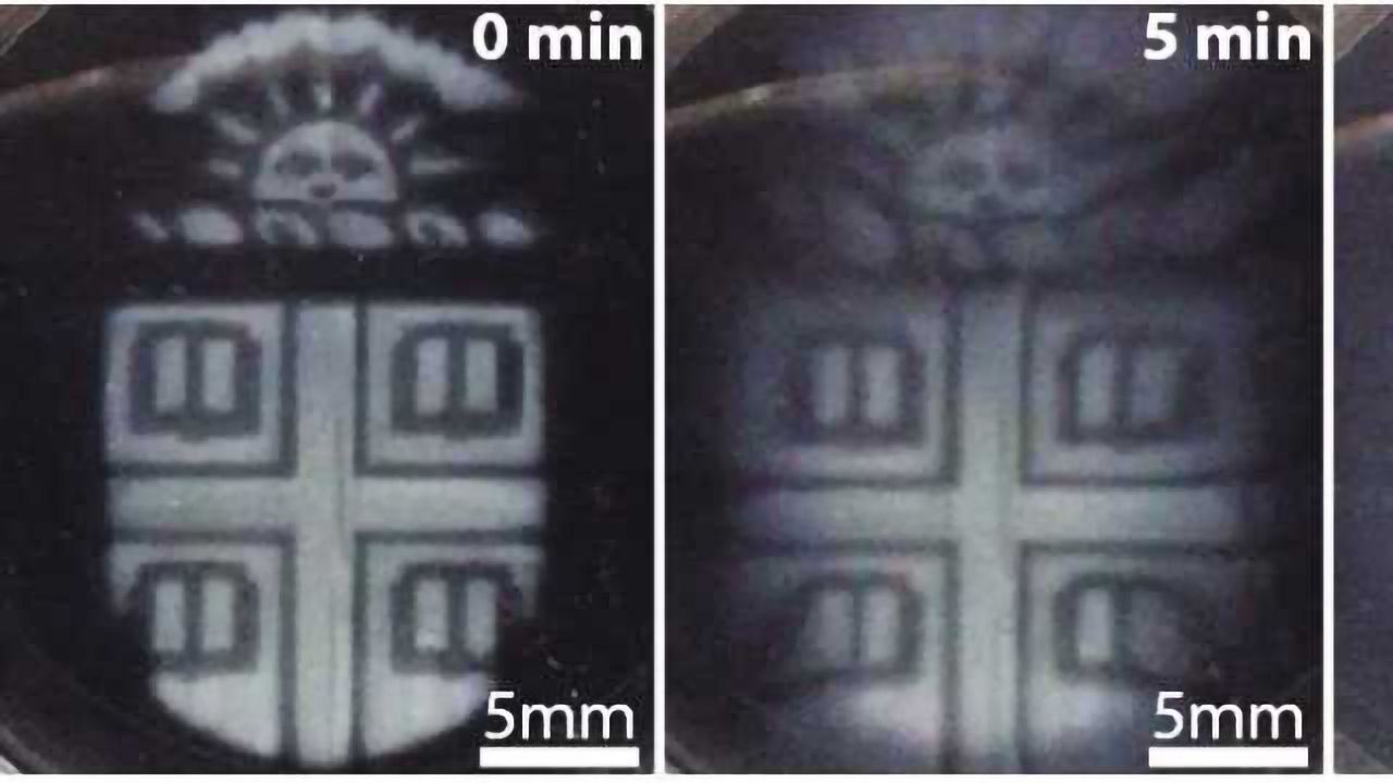 3-D-printed Biomaterials That Degrade On Demand Developed