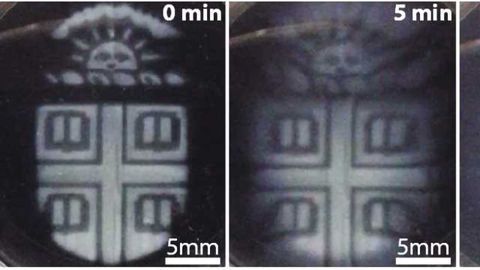 3-D-printed Biomaterials That Degrade On Demand Developed