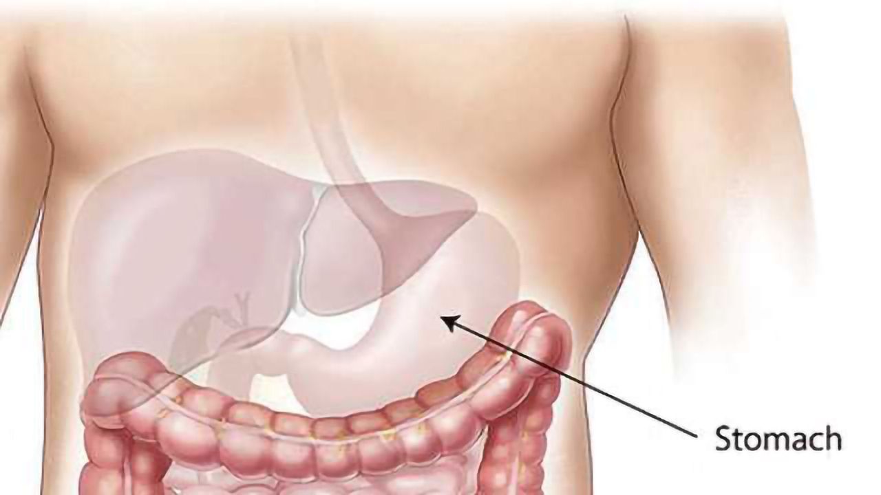 Promising Response Rates Support Development of Pembrolizumab in Metastatic Gastric Cancer