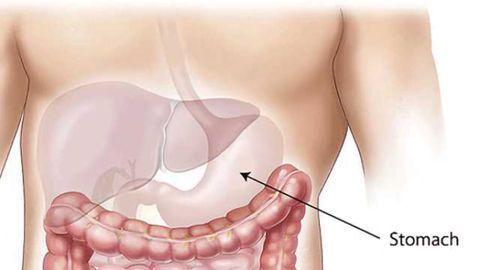 Promising Response Rates Support Development of Pembrolizumab in Metastatic Gastric Cancer