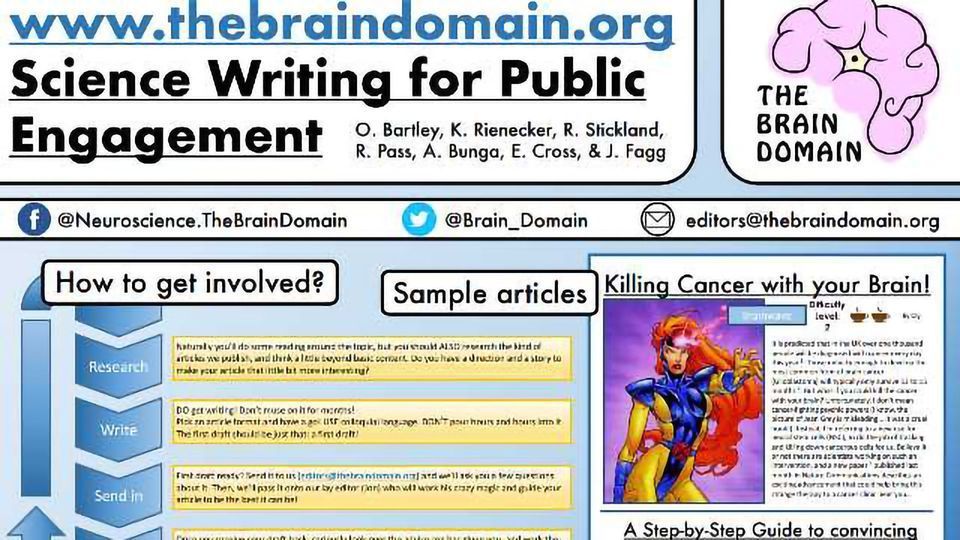 www.thebraindomain.org: Science Writing for Public Engagement content piece image