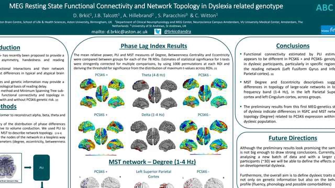 MEG Resting State Functional Connectivity and Network Topology in Dyslexia Related Genotype