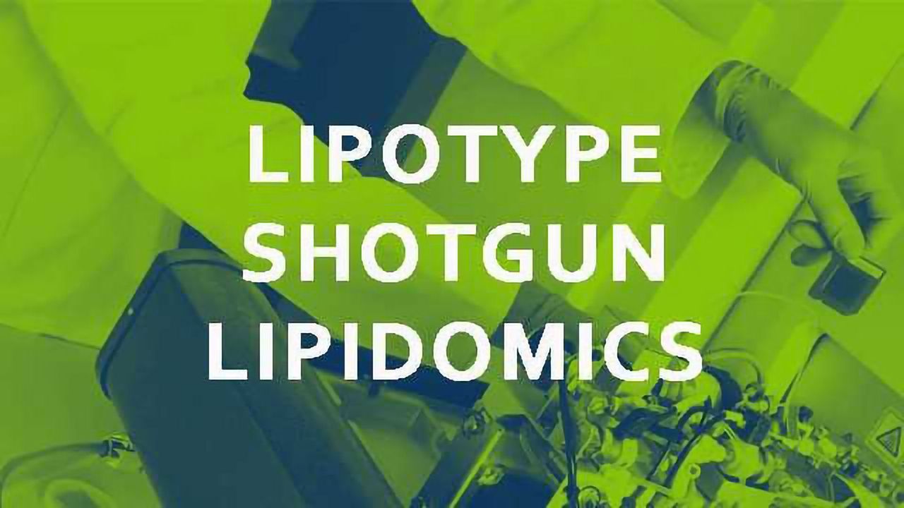 Lipotype Shotgun Lipidomics: Get your lipid data in just 2 weeks
