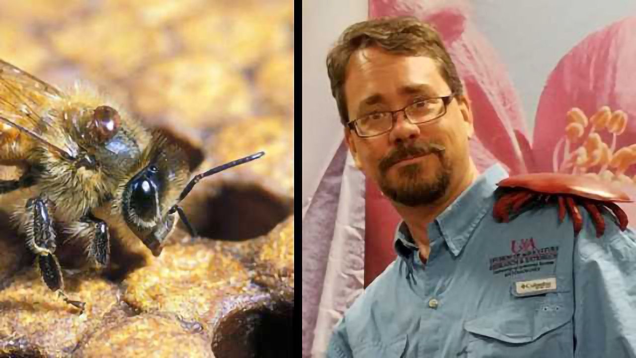 RNAi Offers a New Option for Tackling the Number 1 Threat to Honey Bees