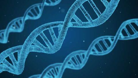 Almost 8000 New Microbial Genomes Sequenced Substantially Expanding Known Tree of Life