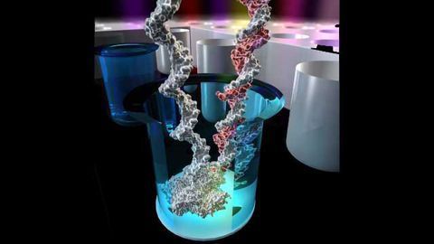New Tech Enables Loading of DNA Into Sequencing Wells With Orders of Magnitude Higher Efficiency
