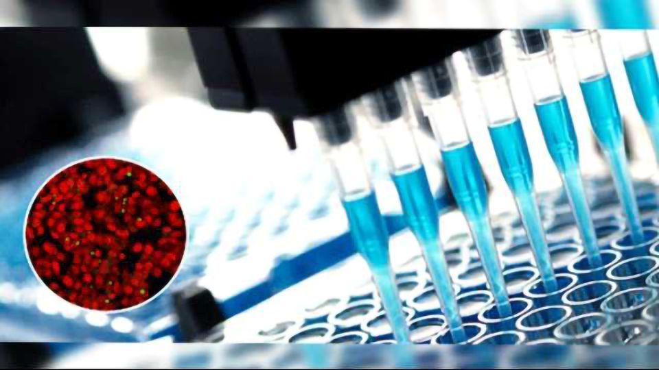 Cell-based Imaging and Screening Applications content piece image