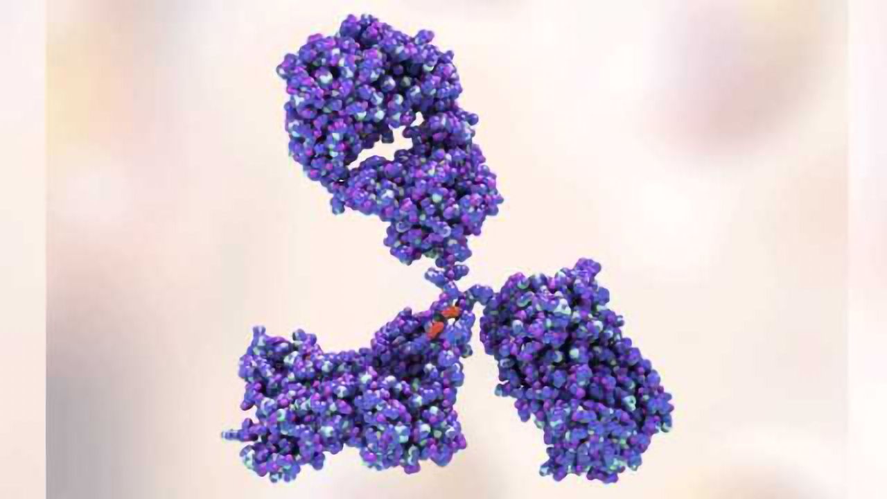 Overcoming Challenges in Biopharma Quantitation with LC-MS