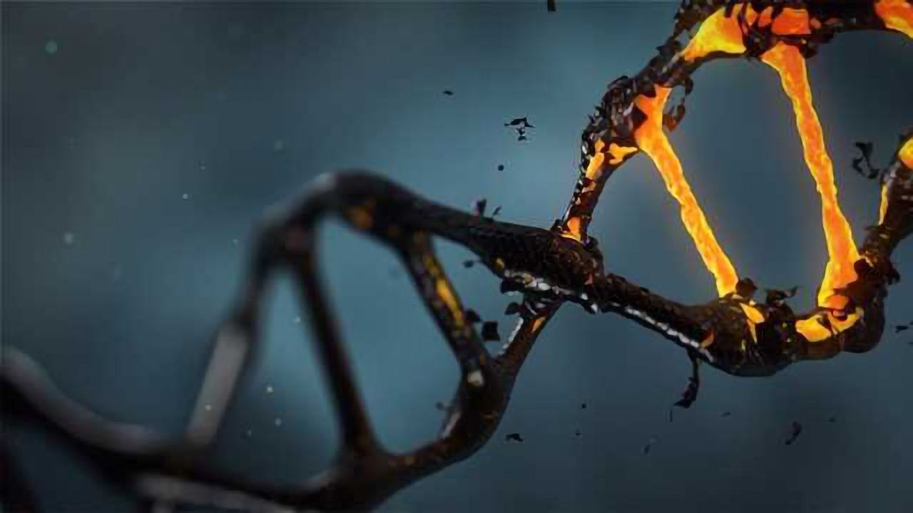 Horizon Discovery Launches Genome-Wide CRISPRi and CRISPRa Screening Services