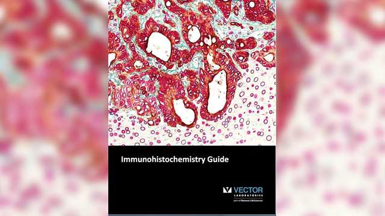 Vector Laboratories Publishes New Immunohistochemistry Guide