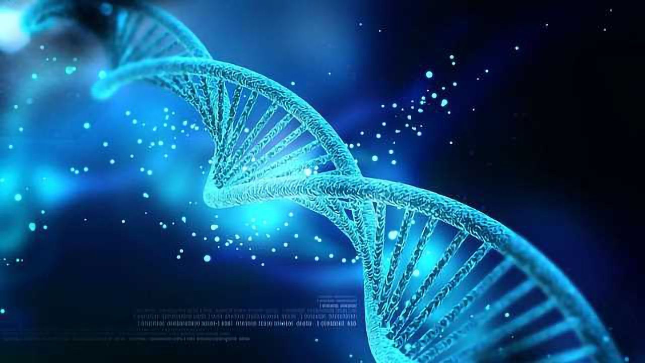 Ancient Genes Take on New Functions as Master Regulators