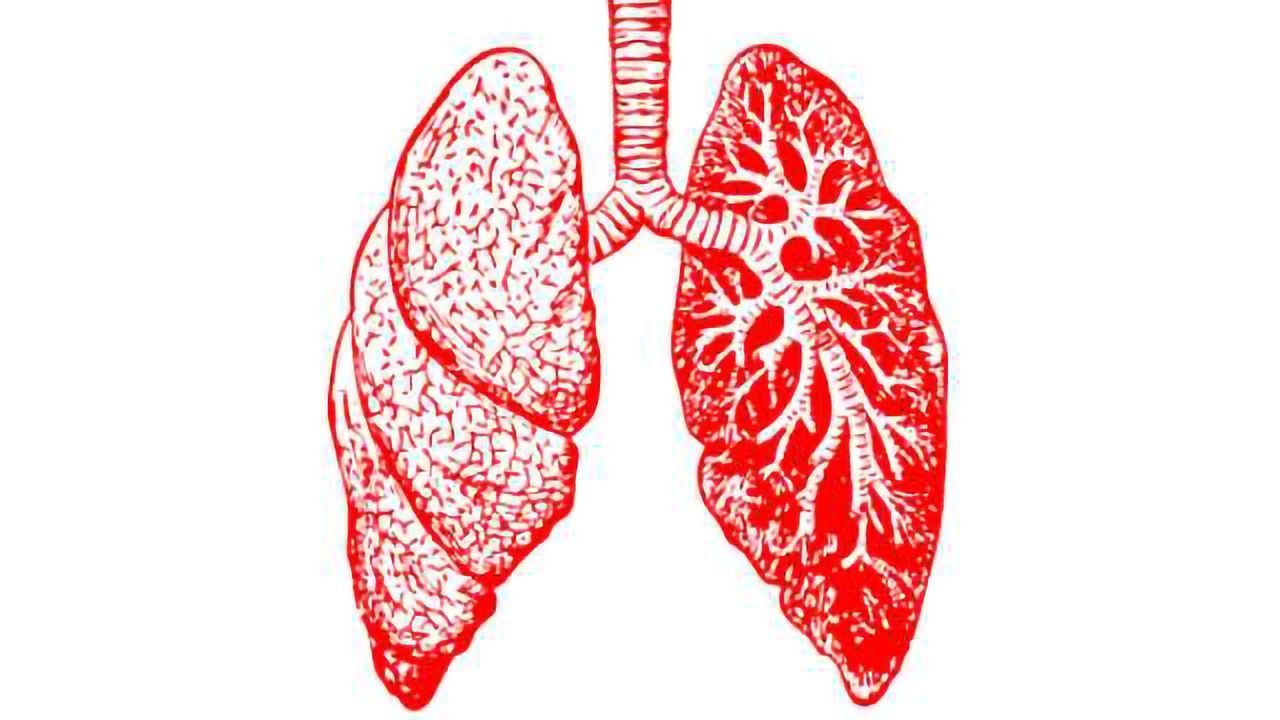 Encouraging Step Towards a Potential Therapeutic Strategy for Asthma