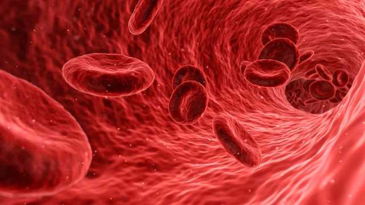 Blood Test for Colitis Screening Could Reduce Dependence on Colonoscopy