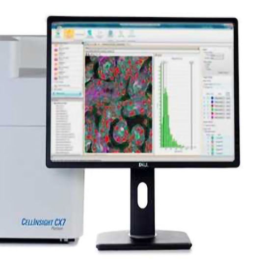Thermo Scientific Cellinsight CX7 High Content Analysis