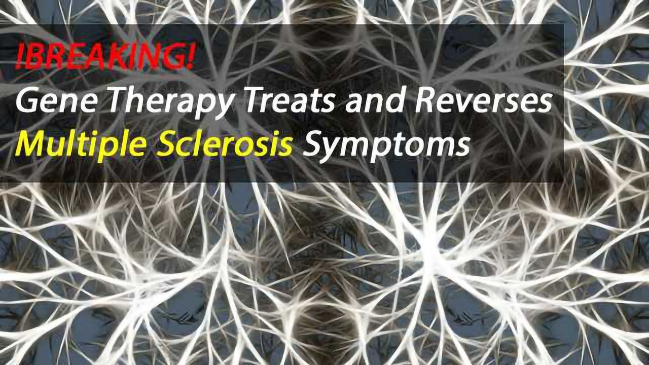 Gene Immunotherapy Approach Prevents and Reverses Symptoms of Multiple Sclerosis