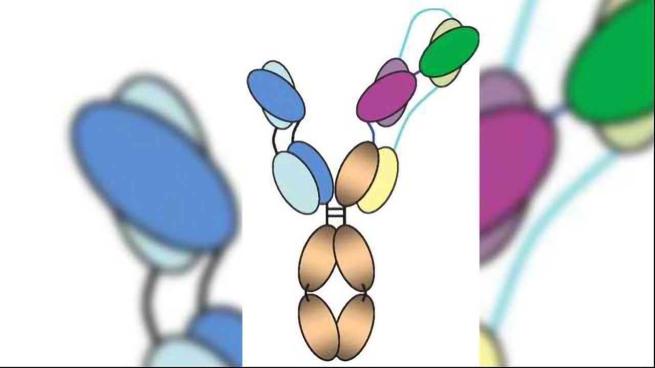 Trispecific Antibodies Protect Against HIV