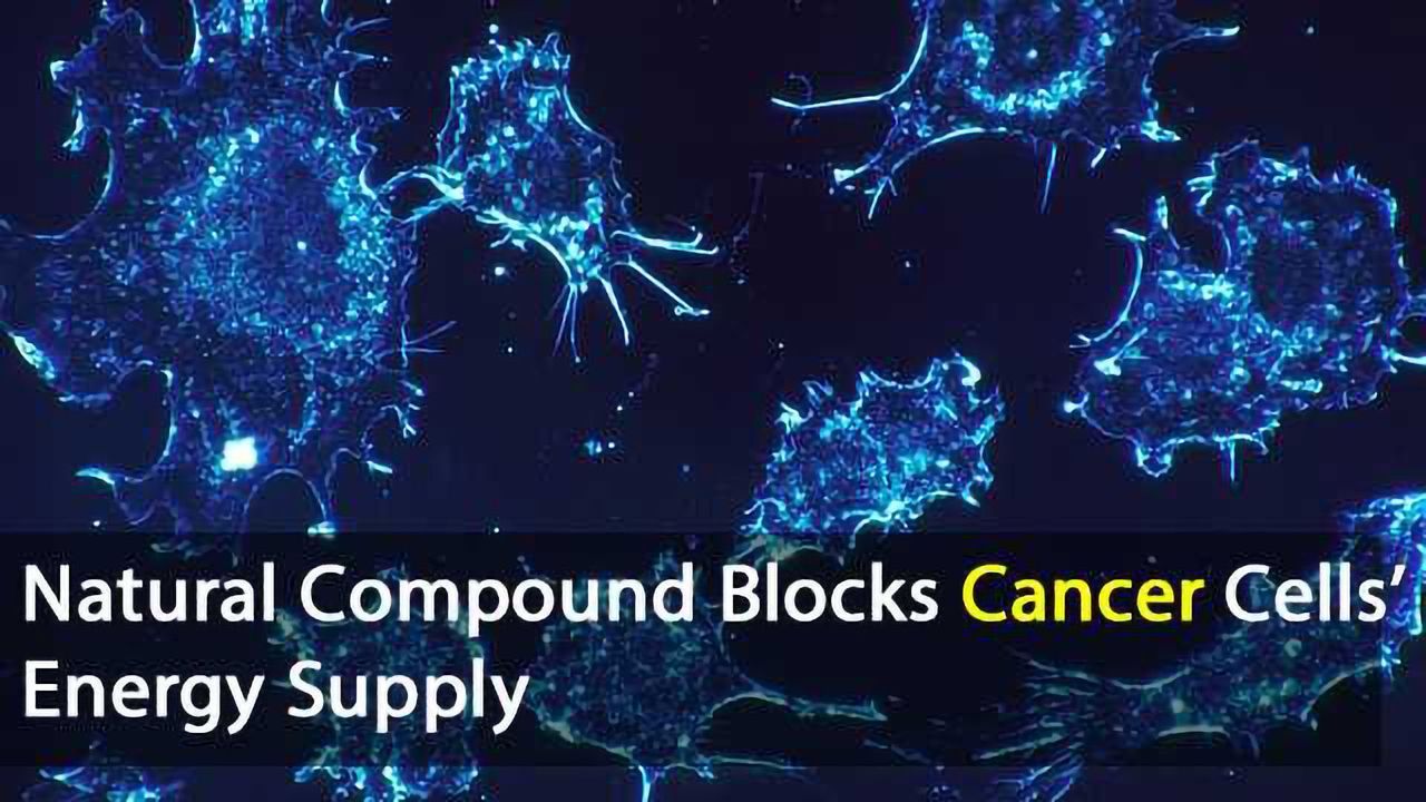 Cancer Cells’ Energy Source Blocked by Natural Compound