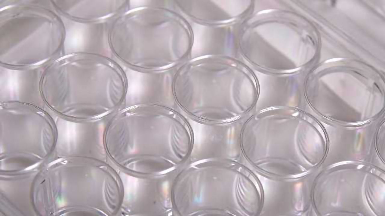 “Nanokicking” Technology Enables Breakthrough in the Culture of 3D Mineralised Bone Tissue
